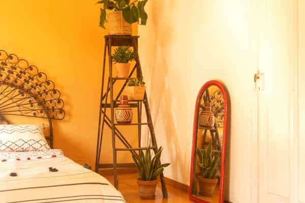Orange Bedroom Plants