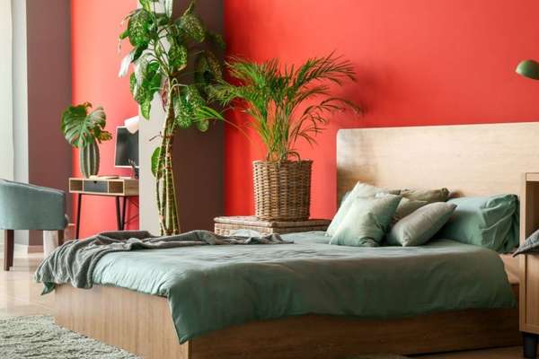 Plants In The Red Bedroom