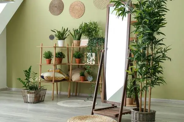 Surround A Mirror With Plants